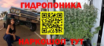 гашик Апрелевка