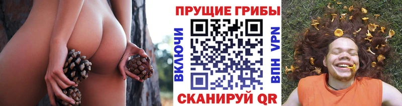 ОМГ ОМГ зеркало  Ялуторовск  Галлюциногенные грибы Magic Shrooms  купить наркоту 