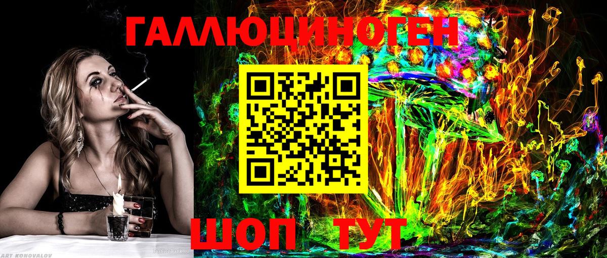 Псилоцибиновые грибы Psilocybe Ялуторовск