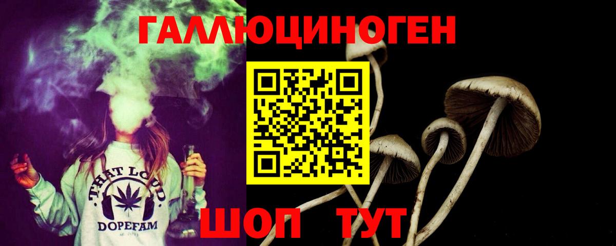 Ялуторовск  Псилоцибиновые грибы ЛСД  Вход с VPN 